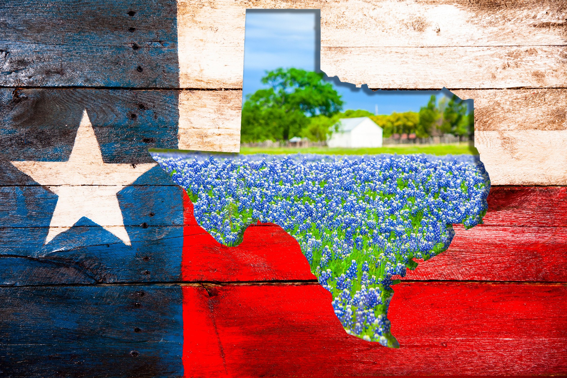 Texas flag, state cut out with bluebonnet flowers.